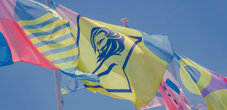 cannes flags homepages two (1)