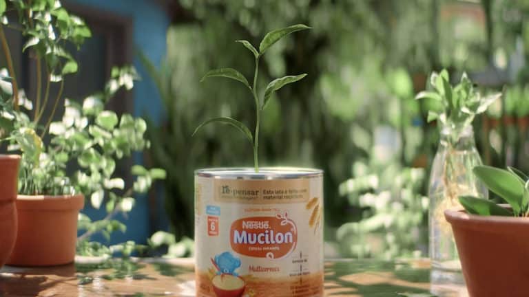 Mucilon plantará 1 milhão de árvores.