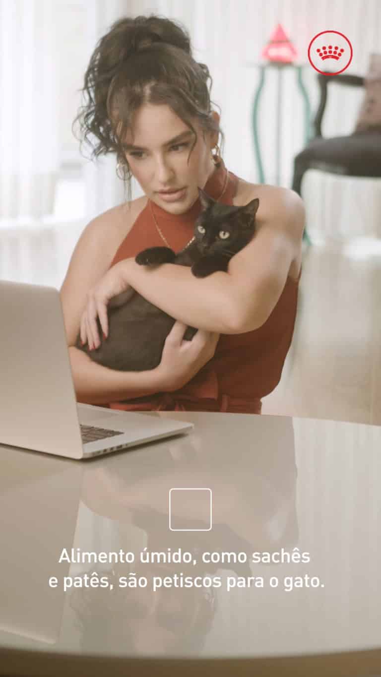 Royal Canin investe na saúde preventiva dos felinos em campanha.