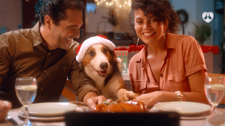 Ampfy aposta em ultra segmentação para o Natal de Perdigão.