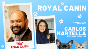 Marketing da Royal Canin: um dos valores da marca é não humanizar o animal. Elisangela Peres entrevista Carlos Martella, diretor