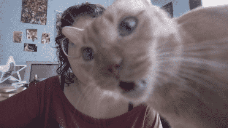 Kroton se inspira em hits do TikTok em campanha de volta às aulas.