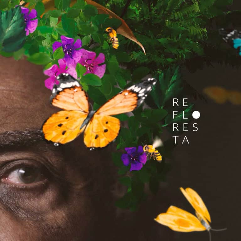 Campanha do Instituto Terra inspira nova canção de Gilberto Gil.