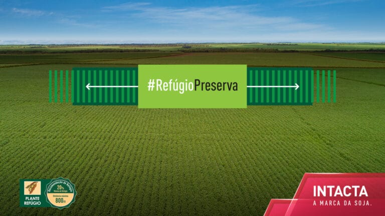 MRM Brasil cria movimento #RefúgioPreserva para Intacta.