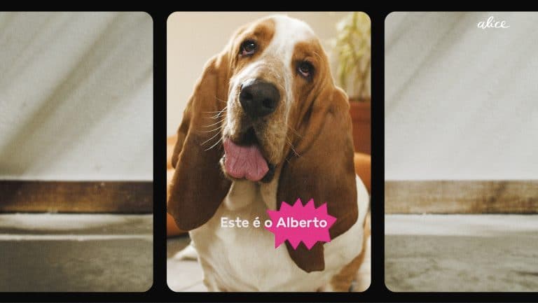 O estúdio monkey-land comemora chegada da conta da healthtech Alice, e apresenta a primeira campanha criada para a marca.