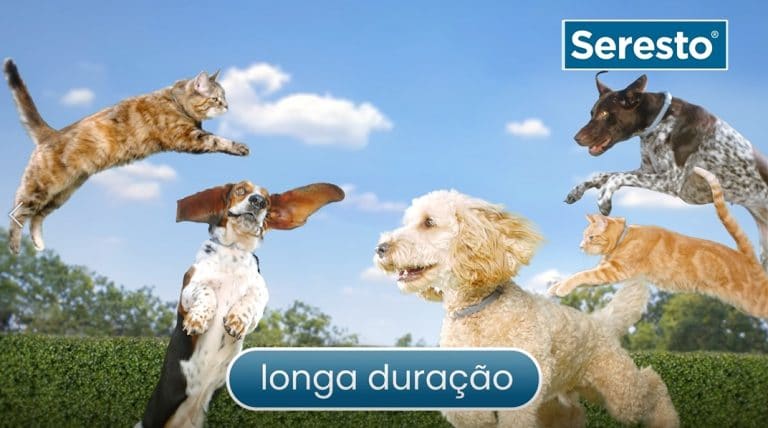 Elanco apresenta os benefícios de Seresto.