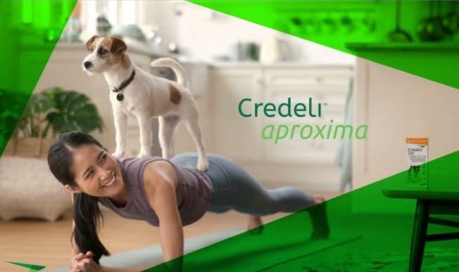 Elanco Saúde Animal lança sua nova campanha publicitária para divulgação do Credeli, comprimido que protege cães contra carrapatos e pulgas.