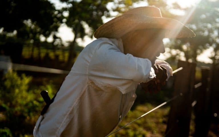 Pantanal é palco do novo vídeo da campanha da Belgo Bekaert.