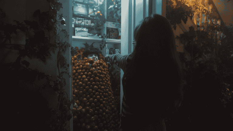A Heinz, para evidenciar seu diferencial, apresenta campanha em que revela com detalhes o segredo de seu sucesso: o tomate.