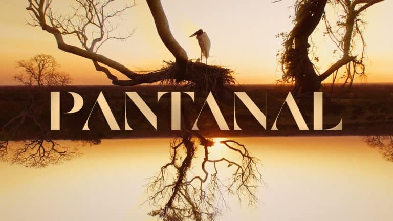 A Vivo estreia, nesta semana, na novela "Pantaal", em um projeto inédito de conteúdo co-criado com a Globo.