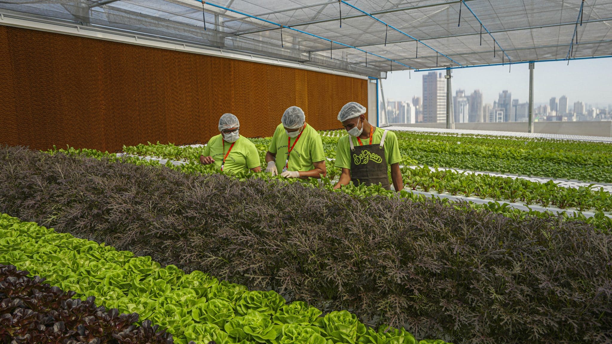 BeGreen inaugura unidade no Plaza Sul Shopping, em São Paulo