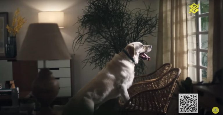 A nova campanha publicitária sobre o seguro de Vida da BB Seguros ressalta a cobertura para doenças graves disponibilizada no produto.