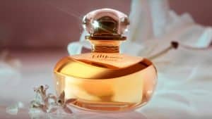 A Lily, marca de perfumaria do Boticário, acaba de receber mais uma versão em seu portfólio: Lily Lumière.