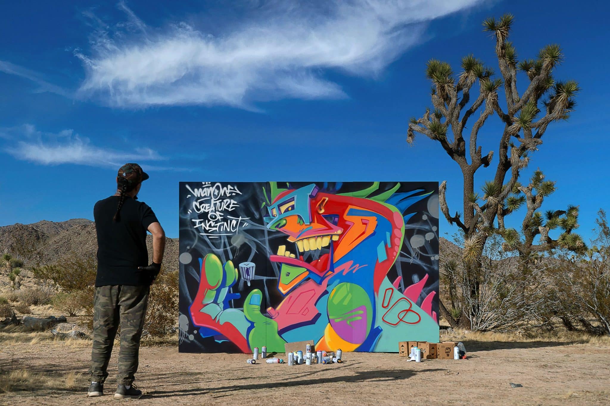 Graffiti Contra a Enchente' reúne 300 artistas em Taboão - Mídia NINJA