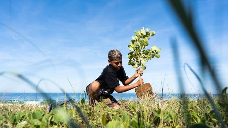 A WSL e a WSL PURE, organização sem fins lucrativos da Liga, anunciam o impacto de sua campanha global "We Are One Ocean".