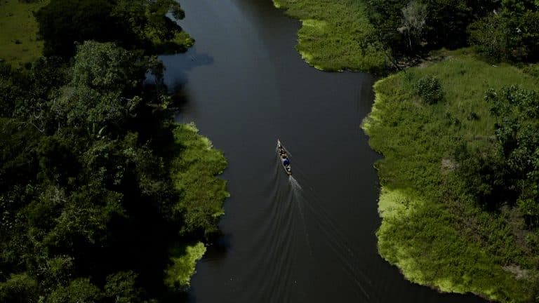 Produtora da MAGMA, a profissional Sabrina Duarte foi convidada para dirigir um documentário em plena Floresta Amazônica.