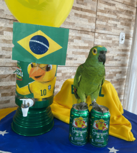 Novo vidente na área! Kaduzinho, o papagaio, se junta com Guaraná Antarctica para dar sorte para a Seleção.
