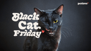 A Petlove, maior ecossistema pet do Brasil, anuncia a chegada da segunda edição da #BlackCatFriday, que acontece na sexta-feira 13.