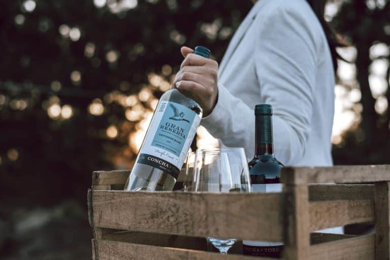 Alinhada com o Dia da Terra, a Concha y Toro lançou o Gran Reserva, vinho produzido dentro das mais rigorosas práticas sustentáveis.