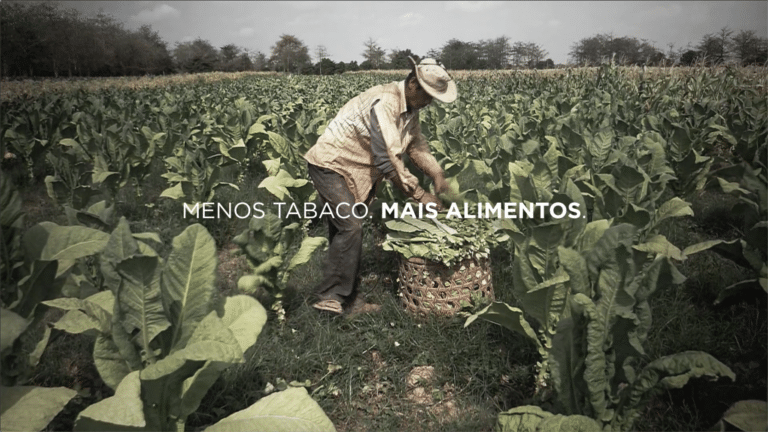 A 3A Brasil alerta, por meio da campanha criada para a ONG ACT Promoção da Saúde, sobre os malefícios do cultivo do fumo.