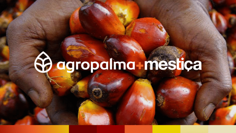 A agência Mestiça anuncia que acaba de reconquistar uma importante conta que já esteve em seu portfólio: a Agropalma.