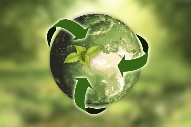 Pesquisa encomendada pela APAS mostra que o consumidor está mais atento às marcas e escolhendo aquelas que investem em sustentabilidade. 