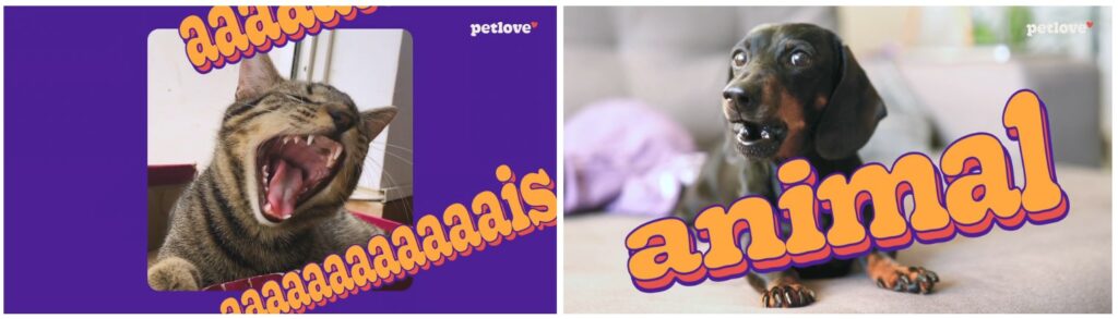 A Petlove – maior ecossistema pet do Brasil – celebra seu 24º aniversário com uma campanha especial, que vai durar por todo o mês de junho.
