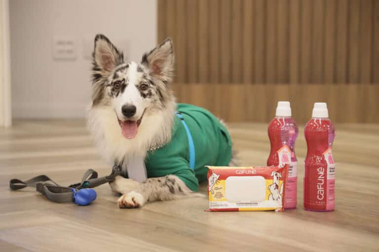 DZ Estúdio conquista a conta de Cafuné, marca de cuidados com os pets da Unilever e que representa a entrada da multinacional na categoria.