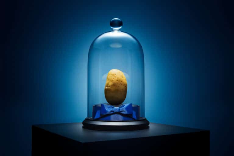 Para contribuir com a redução de desperdício de alimentos, Hellmann's promove leilão de uma batata que seria descartada por R$ 100 mil reais.