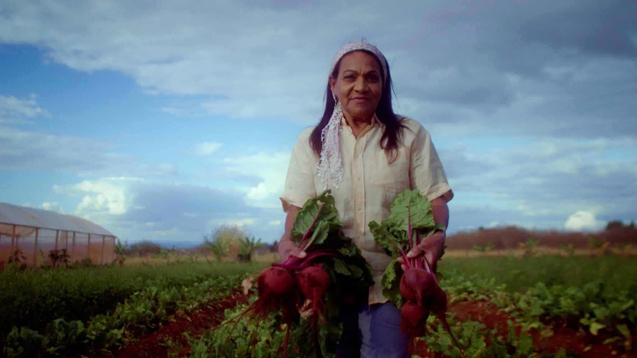 Ministério Do Desenvolvimento Agrário E Agricultura Familiar Apresenta Plano Safra Da 8486