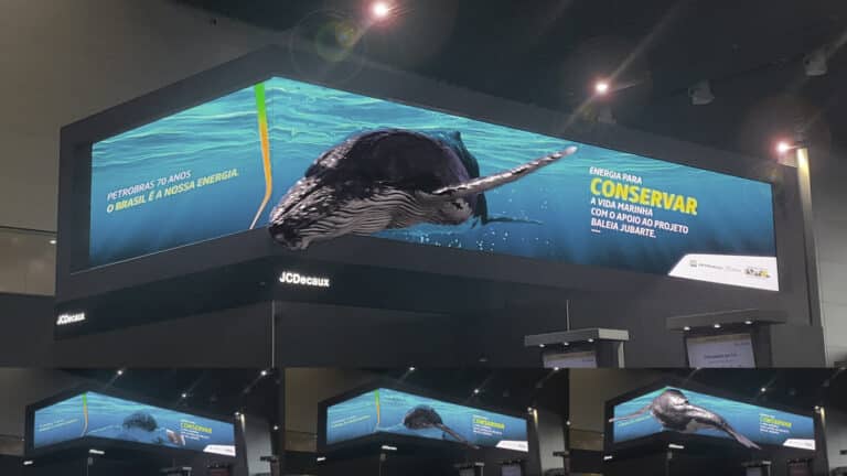 Petrobras e Ogilvy Brasil criam atrações em 3D da Baleia Jubarte, com objetivo de reforçar o apoio ao "Projeto Baleia Jubarte".