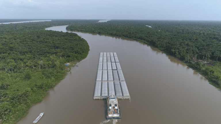 RPMA Comunicação anuncia a chegada de mais duas marcas à sua carteira de clientes: Hidrovias do Brasil e Fundação Dorina Nowill para cegos.