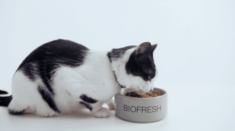 A Biofresh estreia, sob o conceito criativo assinado pela Bold, sua primeira campanha assinada pela agência.