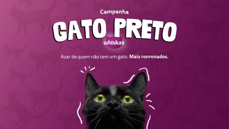 Whiskas lança uma iniciativa criada pela T&P powered by Mirum, que visa conscientizar sobre a importância de cuidar e adotar esses animais.