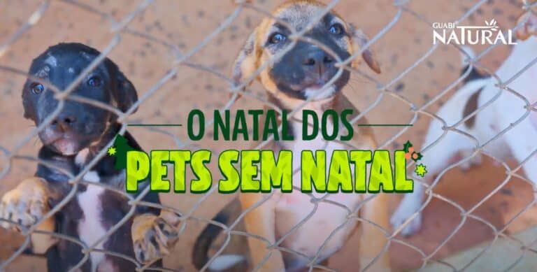 Guabi Natural combate abandono e maus-tratos a animais