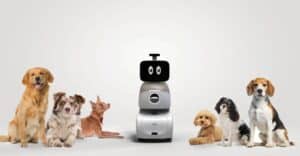 CES 2024 Ogmen Robotics revela o Oro Dog Companion Robot, robô de estimação para seu pet