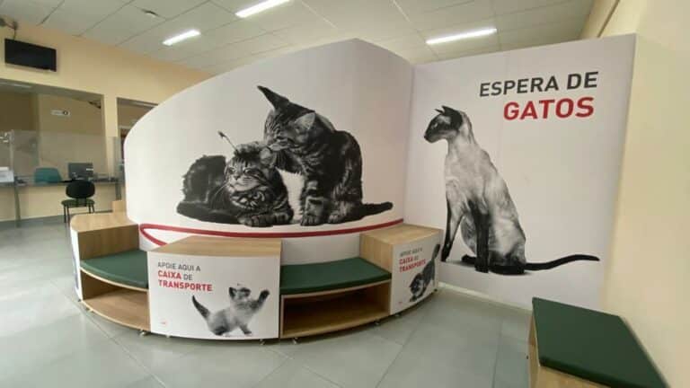 A ROYAL CANIN reconhece a importância de criar ações positivas em prol da sociedade por meio de iniciativas que vão além da nutrição.