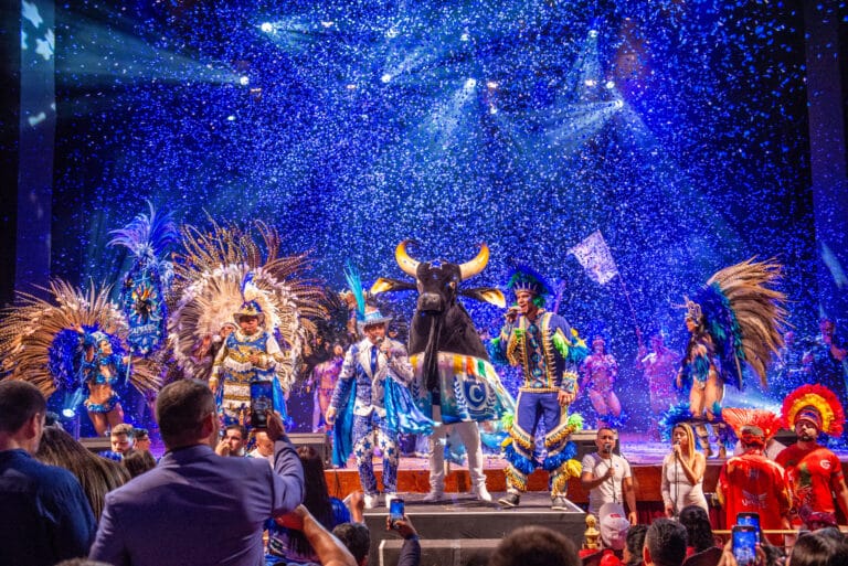O Festival de Parintins, patrimônio cultural do país, e a Coca-Cola Brasil mantém uma parceria histórica há quase três décadas.