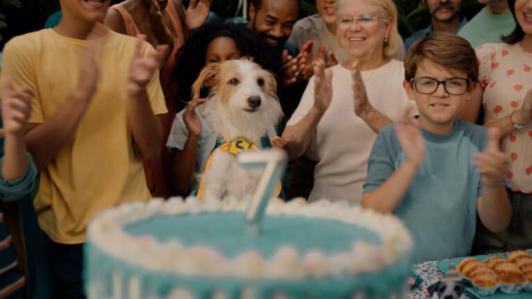 A Zoetis promove, em sua nova campanha o Simparic, antiparasitário que protege os cães contra pulgas, carrapatos e sarnas.