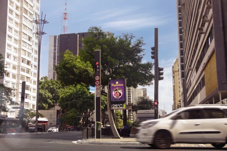 A Centrum identificou, em parceria com a WMcCann, as árvores frutíferas remanescentes na densa malha urbana da maior cidade do país.