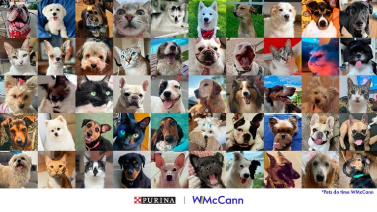 A Nestlé acaba de escolher a WMcCann como sua nova agência de comunicação integrada para sua marca Nestlé Purina.