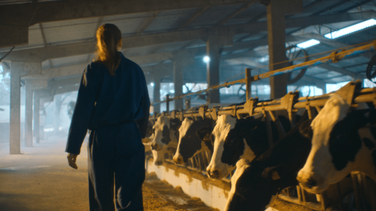 Banco do Brasil revalida seu slogan “O Agro é da Gente” a fim de celebrar e exaltar o orgulho do que o Agronegócio representa para o país.