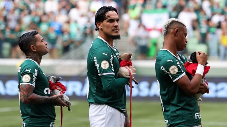 O Palmeiras e a Mars Petcare se uniram em apoio ao programa PEDIGREE Adotar é Tudo de Bom, com ações de combate ao abandono animal.
