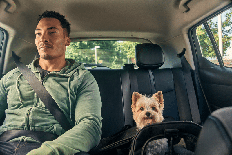 A Uber anunciou a disponibilidade de sua nova modalidade para transporte de pets m mais 26 cidades do Brasil.