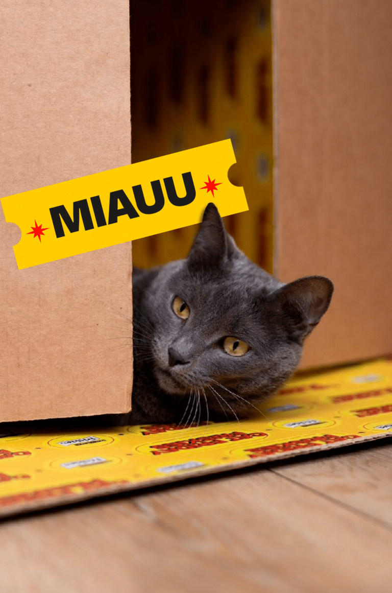 A Friskies decidiu aproveitar a chegada da Black Friday para unir duas coisas que o brasileiro ama: gatos e promoção em ação com a WMcCann.