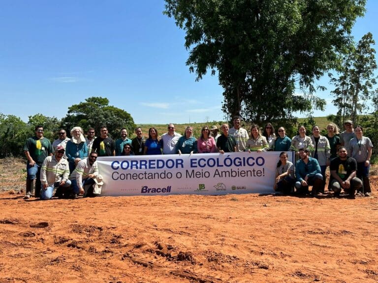 Bracell planta 8 mil árvores nativas e cria corredor ecológico para fortalecer biodiversidade