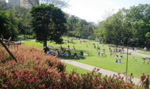 A NEOOH comunica acordo com a FAB, e passa a ser responsável pela gestão de mídia em um dos principais parques da cidade de São Paulo.