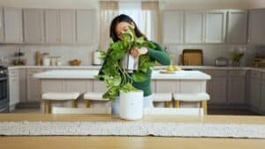 CES 2025 - LeafyPod apresenta vaso inteligente com tecnologia de IA para cuidados com plantas