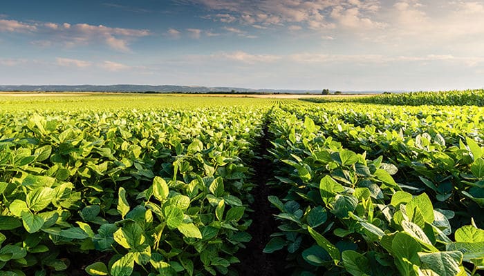 A agência JONES conquistou parte da comunicação da gigante global Bayer no Brasil: a divisão de agronegócio.