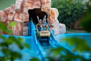 O Beto Carrero World acaba de conquistar a certificação de Empresa Carbono Neutro, que reflete o compromisso com um futuro mais sustentável.
